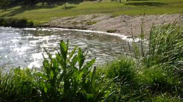 Vagues sur l'étang — Video