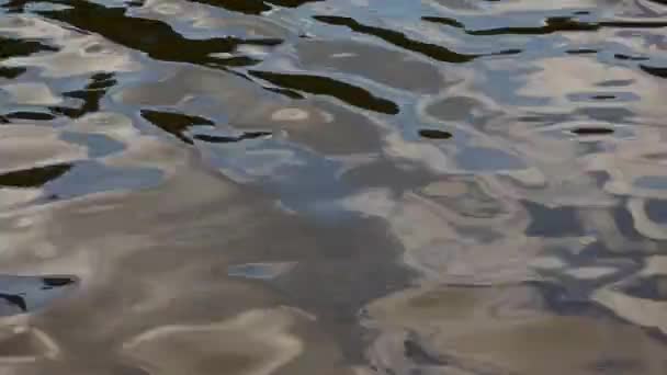 Волны на пруду — стоковое видео