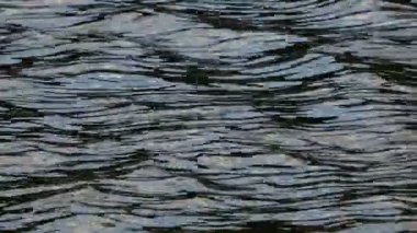 dalgalar üzerinde gölet