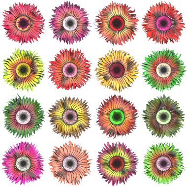 Bloom kümesi oluşturulan doku