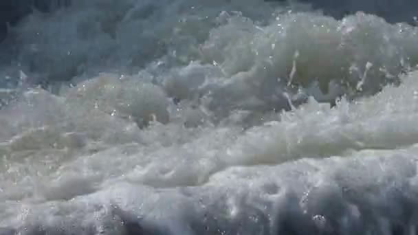 野生水 — 图库视频影像