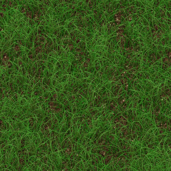Grass generovány bezešvých textur — Stock fotografie