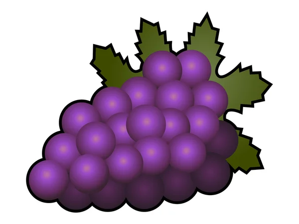 Uvas frutas isoladas sobre fundo branco — Vetor de Stock