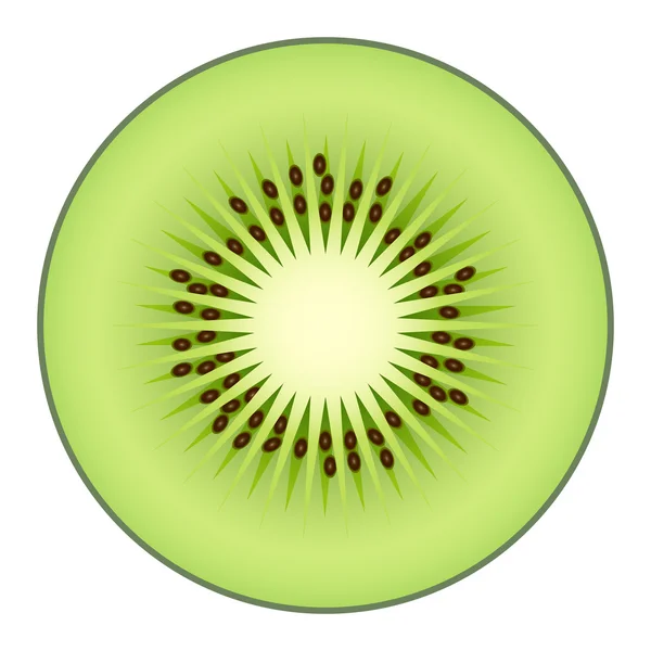 Kiwi aislado sobre fondo blanco — Vector de stock