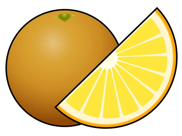 Fruto naranja aislado sobre fondo blanco — Vector de stock