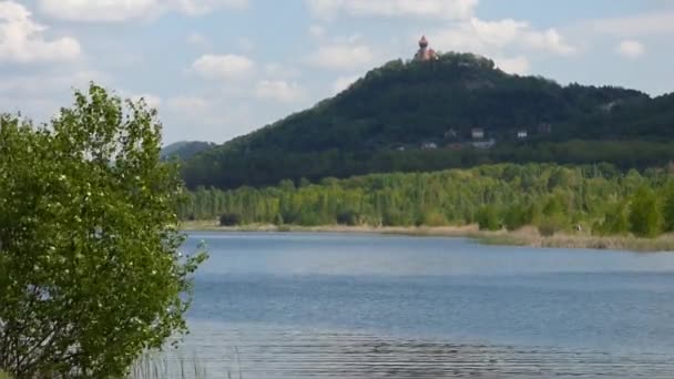 Lago con castillo — Vídeo de stock