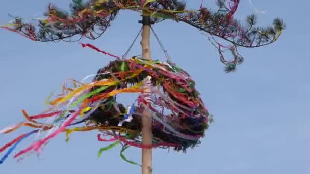 Maibaum im Wind — Stockvideo