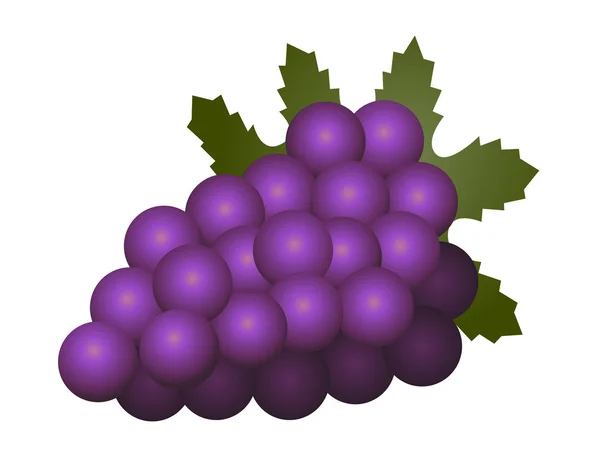 Vindruvor frukt isolerad på vit bakgrund — Stock vektor