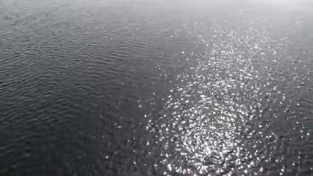 Wellen auf Teich — Stockvideo