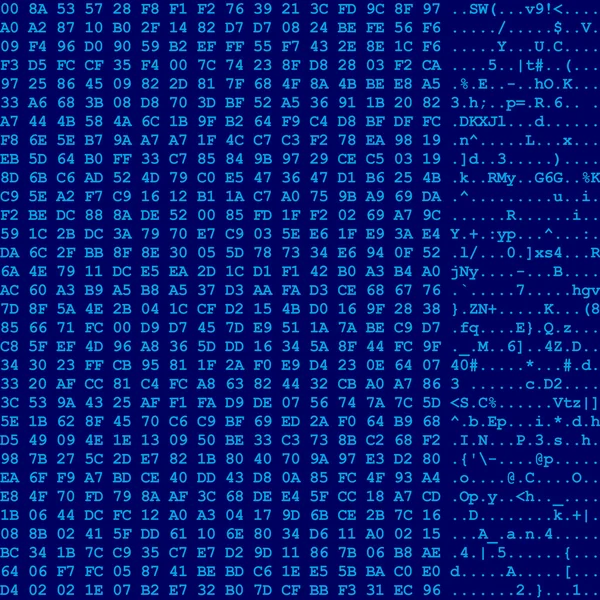 Computer data flow