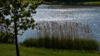 dalgalar üzerinde gölet