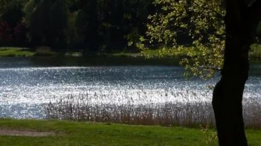 dalgalar üzerinde gölet