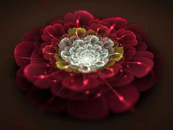 Patrón generado flor fractal —  Fotos de Stock