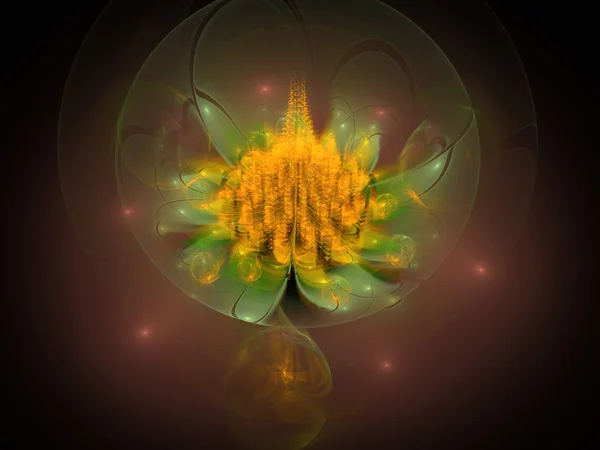 Fractal flower generated pattern — Stock Photo, Image