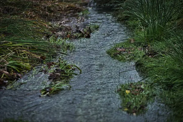 Yağmurun oluşturduğu küçük bir dere