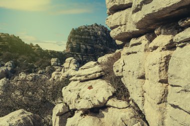 El Torcal, Antequera. İspanya.