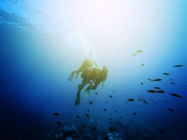 Three scuba divers. Swimming with fishes. Vintage effect. — Stock Photo, Image