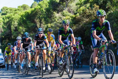 Cordoba, İspanya - 26 Ağustos: Alejandro Valverde (Movistar takım)