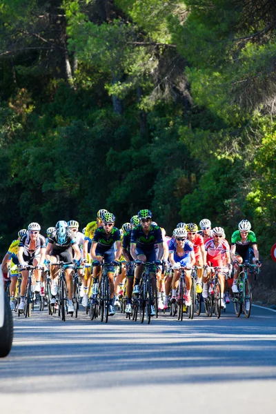 CORDOBA, ESPAÑA - 26 de agosto: Jose Herrada y Alejandro Valverde (Movistar Team) con Alberto Contador (Tinkoff Saxo Team), durante una gira por España . — Foto de Stock