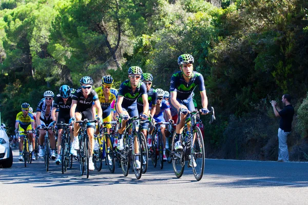 Cordoba, İspanya - 26 Ağustos: Alejandro Valverde (Movistar takım) — Stok fotoğraf