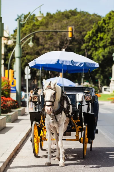 Horse carriage parked in andalusia, spain — Stock Photo, Image