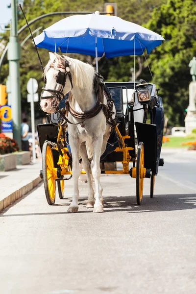 Horse carriage parked in andalusia, spain — Stock Photo, Image