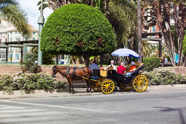 Horse carriage with tourist in andalusia street — Stock Photo, Image