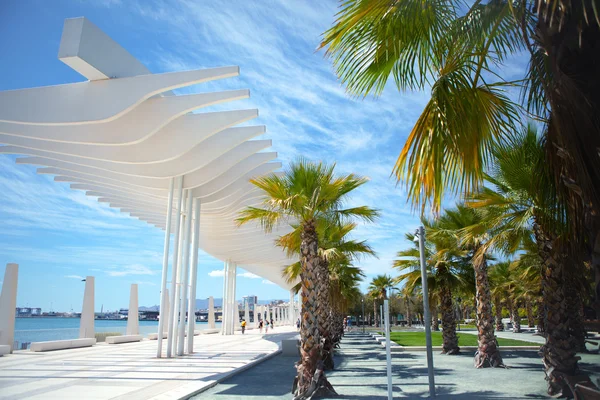 Uitzicht op de promenade van Malaga — Stockfoto