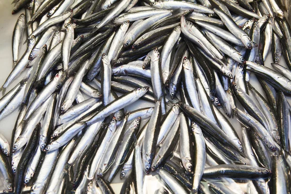 Świeża ryba tło — Zdjęcie stockowe