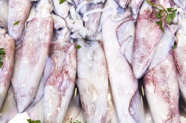 Mürekkep Balık Market