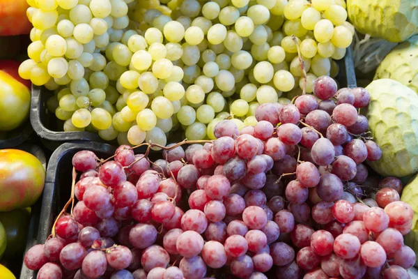 Groene en rode druiven op de markt voor fruit. — Stockfoto