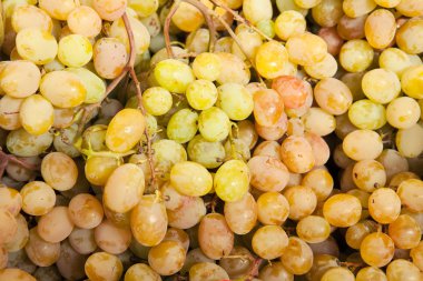 üzüm piyasası demet.