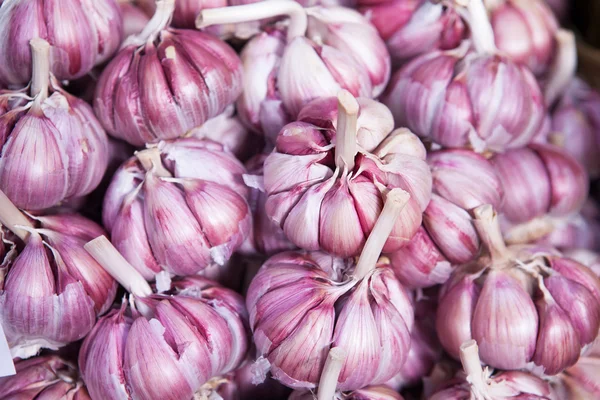 Garlics na rynku — Zdjęcie stockowe