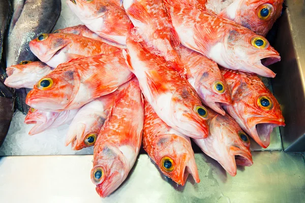 Pomarańczowe ryby na targu rybnym. — Zdjęcie stockowe