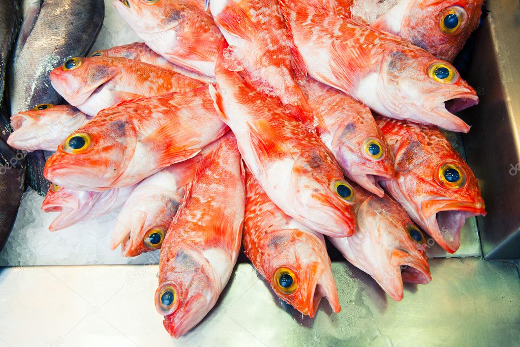 Orange fishes at fish market. Stock Photo by ©Daviles 54393565