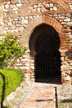 nehir ve bitki örtüsü.