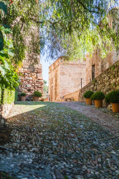 Vista de Alcazaba de Málaga en Andalucía, España . — Foto de Stock