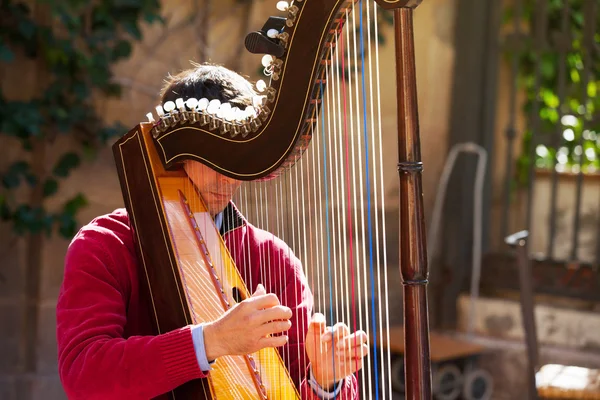 Man playing harp outdoors. — Stock Photo, Image