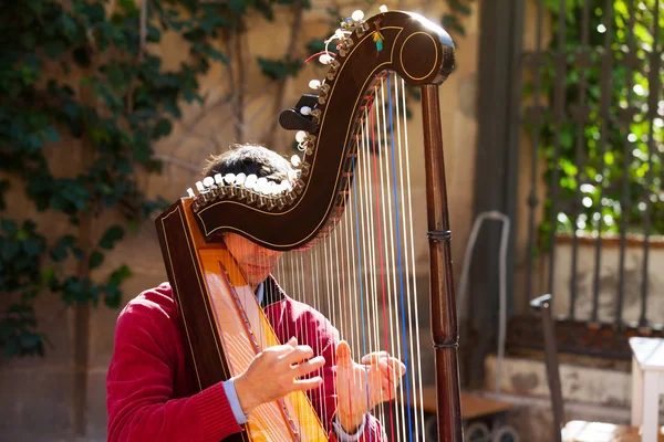 Man playing harp outdoors. — Stock Photo, Image