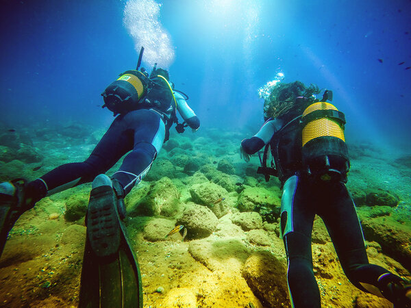 Два водолаза уплывают от камеры
.
