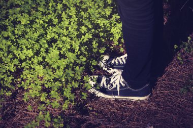 Spor ayakkabı ayakkabı üzerinde ve yonca Çam iğneleri.