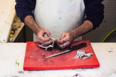 Bir mürekkep balığı balık Market temizlik balık satıcısı el yakın çekim.