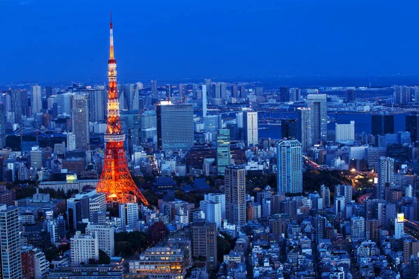 Tokyo city view with Tokyo Tower at night , Japan
