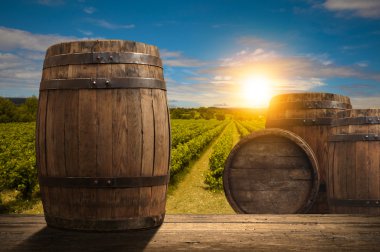 Tuscany, İtalya 'da üzüm bağında kırmızı şarap