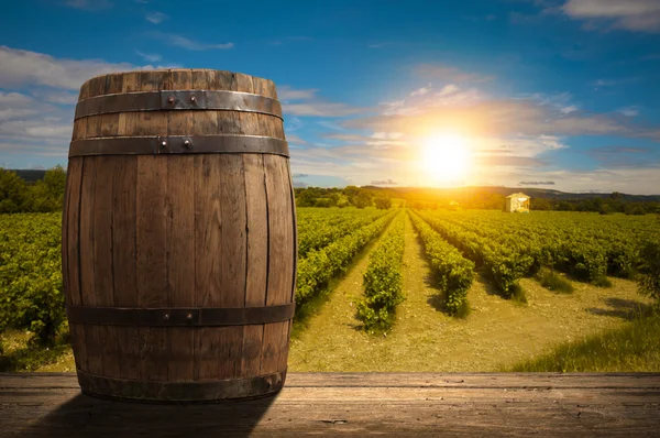 Tuscany, İtalya 'da üzüm bağında kırmızı şarap