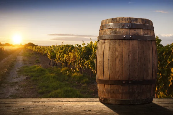 Tuscany, İtalya 'da üzüm bağında kırmızı şarap