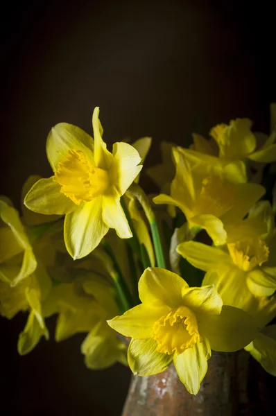 Natureza morta com um buquê de narcisos amarelos — Fotografia de Stock