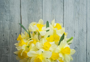 Natürmort narcissuses bir buket