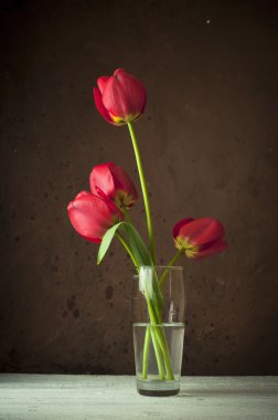 Kırmızı lale ve armut ile natürmort