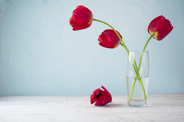 Still life with red tulips and pear